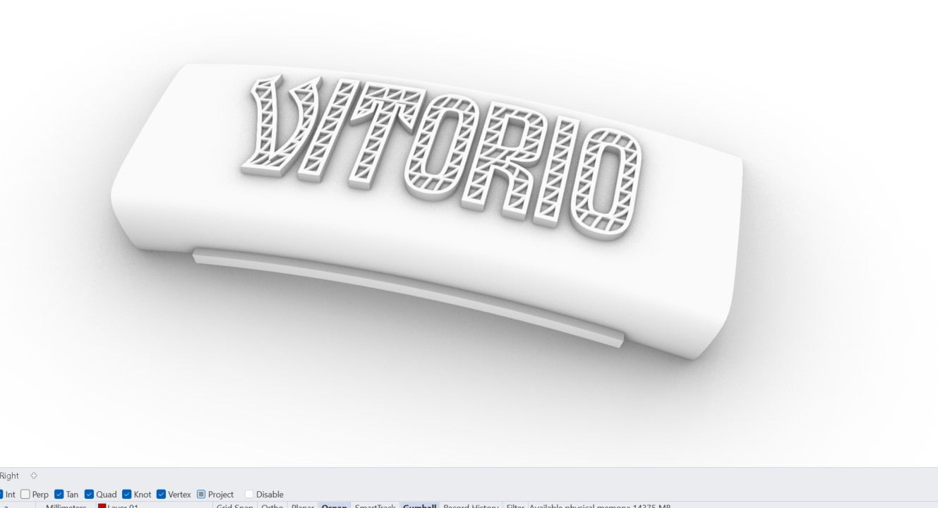 Custom Jewelry Design